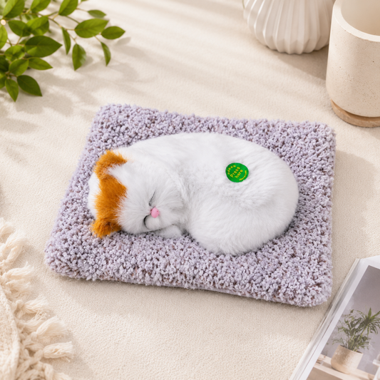 Cute Sleeping Cat Car Dashboard Decor | Realistic Plush Cat Showpiece for Car, Home & Office (Multicolor)